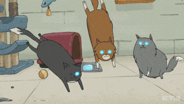 transformer.gif